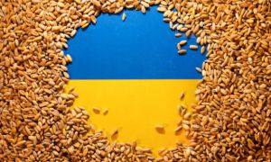 Nga - Thổ Nhĩ Kỳ đồng ý tiếp tục đàm phán về mở đường xuất khẩu ngũ cốc từ...