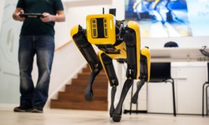 Chó robot của Mỹ được gửi đến Ukraine để thực hiện nhiệm vụ đặc biệt