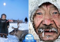 'Họ là những người cuối cùng': Chùm ảnh hiếm hoi về những người chăn tuần lộc ở vùng Siberia Bắc Cực lạnh giá