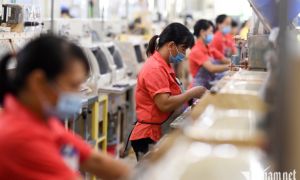 Việt Nam có dân số 'vàng' nhưng chất lượng lao động chưa 'vàng'