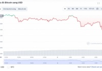 Giá Bitcoin lao dốc thẳng đứng