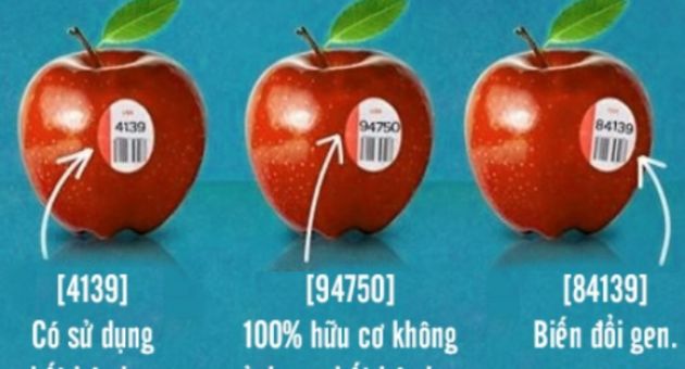 Nhân viên siêu thị tiết lộ vì sao đừng bao giờ mua trái cây có mã vạch bắt đầu...