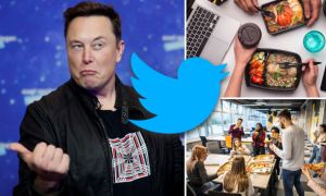 Tỷ phú Elon Musk bỏ bữa trưa miễn phí của nhân viên Twitter để tiết kiệm