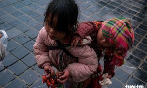 Trẻ em Sa Pa vẫn bị đẩy ra đường bán hàng trong mưa rét
