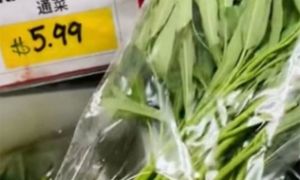 Loại rau giá rẻ ở Việt Nam sang nước ngoài thành hàng siêu đắt đỏ