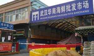 Manh mối mới về nguồn gốc COVID-19 lộ diện ở chợ Vũ Hán