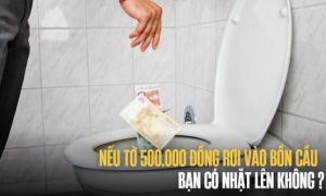 Hỏi: Nếu tờ 500.000 đồng rơi vào bồn cầu, bạn có nhặt lên không? Nam ứng viên...