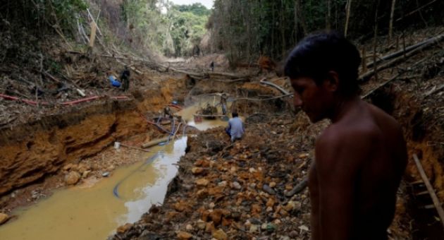 Starlink của Elon Musk vô tình tiếp tay băng đảng khét tiếng Amazon