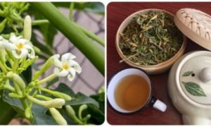 Tác dụng bất ngờ của nước hoa đu đủ đực