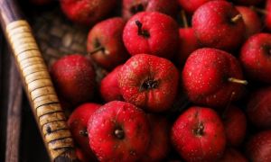 4 loại trái cây không chỉ “phá” nội tạng mà còn chứa “chất kích hoạt” tế bào...