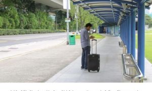 Làm mái che đường phố: Chớ 'thấy người ta ăn khoai cũng vác mai đi đào'