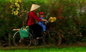 Nhật ký đêm giao thừa