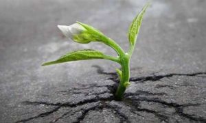 Kỹ năng loại bỏ thói quen xấu