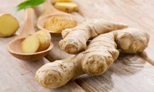 Mẹo vặt giúp bạn không bị say tàu xe