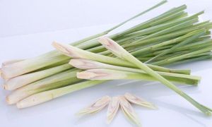 Làn da trắng căng mịn như gái Hàn nhờ xông mặt theo cách này 1 lần/tuần