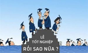 Tiến sĩ thất nghiệp vì ảo tưởng trình độ...