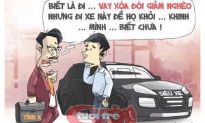 Dân còn giàu lắm...