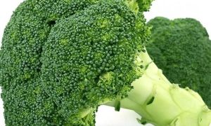 Lợi ích sức khỏe tuyệt vời của bông cải xanh Broccoli