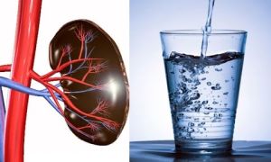 Cách kiểm tra xem có bị bệnh thận hay không: Chỉ mất 1 phút và 1 ly nước sạch