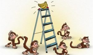 Bài học về sếp vùi dập nhân viên
