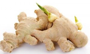 Đừng tự biến