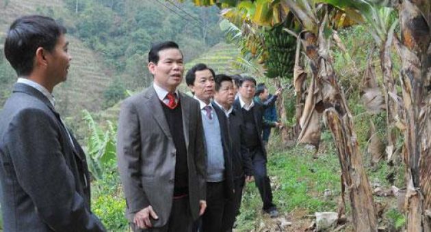 Khi cơ quan có Đại tang
