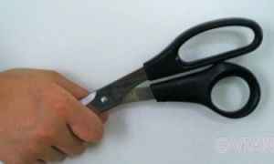 Những việc nhỏ người Đức dạy trẻ