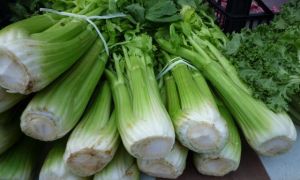 Đừng bao giờ hâm nóng lại những thực phẩm này