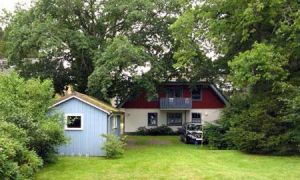 Chuyện không tưởng mà có thật về Quàn lý cây xanh ở Đức