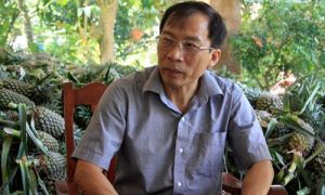 Việt kiều Đức về nước đầu tư hơn 200 tỷ đồng mở lối tiêu thụ trái cây