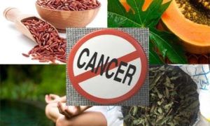 Ngày càng nhiều người bị ung thư thế mà nhiều người vẫn