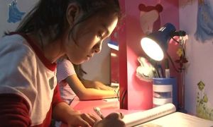 Báo Đức: Học sinh Việt ở Đức do đâu có thành tích vượt trội?