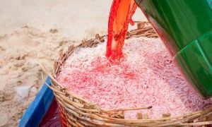 Người Việt đang hả hê tiễn đồng loại ra nghĩa địa