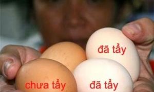 5 mẹo giúp mẹ Việt phân biệt trứng gà tẩy trắng cực chuẩn