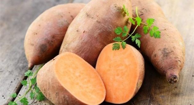 Loại củ đứng đầu trong danh sách chống ung thư tốt nhất: Có nhiều ở Việt Nam,...