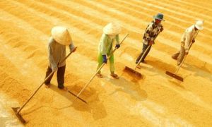 Các nước đã thoát nghèo, bỏ Việt Nam ở lại?