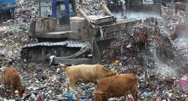 10 thực phẩm “Made in China” cần tránh xa nếu không muốn trả giá đắt