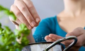 7 sai lầm về chế độ dinh dưỡng các mẹ nên từ bỏ ngay