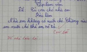 Tả 'con chó, con mèo nhà em': Sao cứ dạy trẻ phải nói dối?