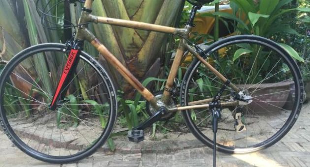 Trào lưu đi xe đạp tre ở Berlin - Đức