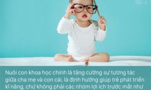 6C - nguyên tắc dạy con sẽ tạo ra những đứa trẻ thành công thực sự