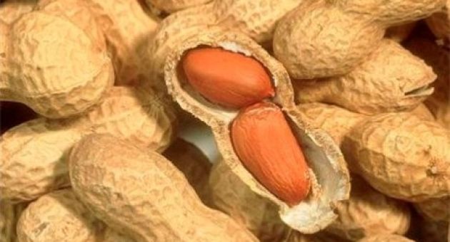 Mỗi sáng ăn 10 hạt lạc, chỉ sau 10 ngày, bệnh tiểu đường 20 năm đã thay đổi...