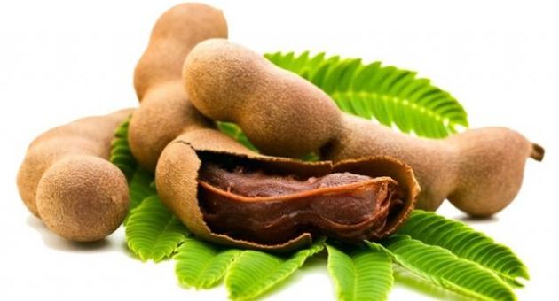 Cây dại bờ rào Việt Nam thành thần dược đắt giá toàn thế giới