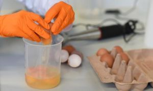 Fipronil ở trứng gà bị nhiễm gây độc ra sao?