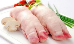 Móng giò không phải là