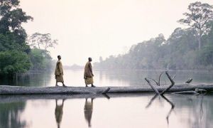 5 chữ ĐỪNG giúp bạn sống một đời không vướng bận sầu lo