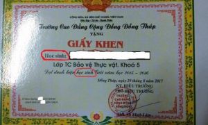 Sinh viên không dám treo bằng khen ‘học sinh xuất sắc’ lên tường nhà