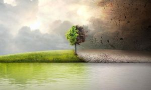 Nhớ kỹ 3 loại cơm không ăn, 3 loại tình không động và 3 loại người không qua lại
