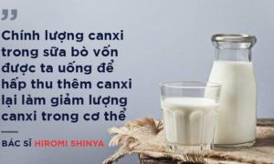 Bác sĩ nổi tiếng Nhật Bản: Uống quá nhiều sữa bò mới dẫn đến bệnh loãng xương