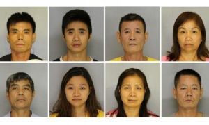 9 người Việt bị bắt trong đường dây cần sa cực lớn 7 triệu đô